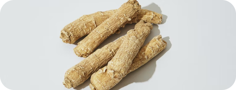 Tout savoir sur les propriétés aphrodisiaques du ginseng